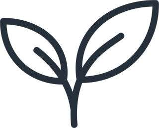 Icon 2