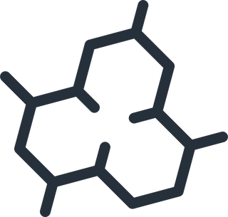Icon 1